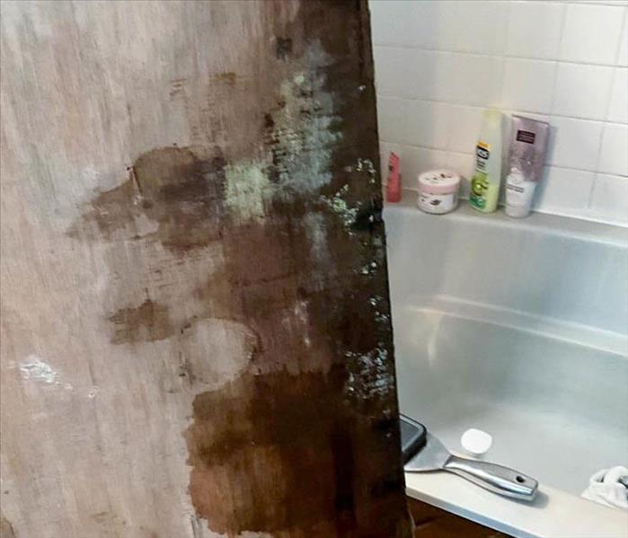 Mold growth in a bathroom.